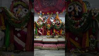 Prabhu Jagannath [upl. by Tatianas108]