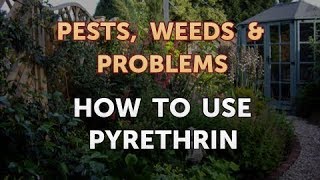 How to Use Pyrethrin [upl. by Hardigg]