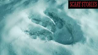 The Frozen Footprint  True Horror Story [upl. by Flemings]