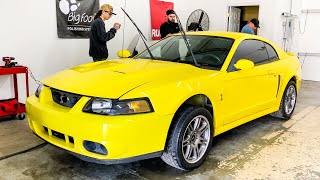 Abandoned for 9 YEARS Barnfind 03 Cobra Mustang Looks MINT  Terminator Rebuild Part 3 [upl. by Twedy]