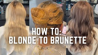 Blonde to Brunette hair transformation  dying hair back to natural tutorial [upl. by Aihtennek117]