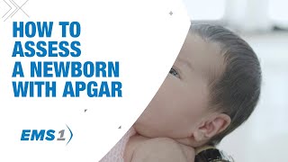 How to assess a newborn infant with APGAR [upl. by Suoicserp]