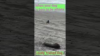 Ronaldo 1 million viewsAthletic Dog Motivational Dhamaka [upl. by Junko]