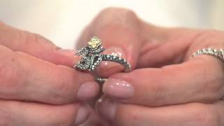 Barbara Bixby Sterling amp 18K Yellow Gold Om Ring with Amy Stran [upl. by Patrich550]