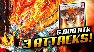 TENPAI DRAGON Deck 30000 BATTLE DAMAGE❗  NEW From Legecy of Destruction [upl. by Willi727]