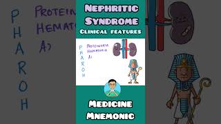 Nephritic Syndrome Clinical Features  mnemonic  shorts [upl. by Ottavia]