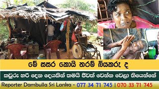 මේ සසර කොයි තරම් බියකරු ද  REPORTER Dambulla  Kumara Ihalagedara  Sri Lanka [upl. by Tyoh]