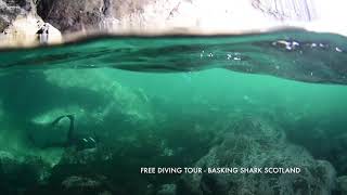 Free Diving at Fingals Cave Staffa [upl. by Ches186]