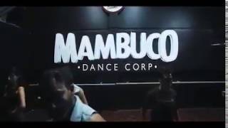 Mambuco Dance Corp Fusion dance [upl. by Miriam]