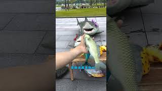 When dolphins want to buy fish😱quotyoutubeshorts [upl. by Ilocin220]