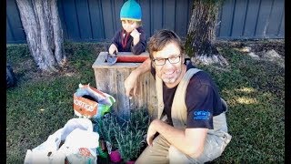 How to Build a Planter Box An AWESOME Planter Box for 750 [upl. by Clemmy913]