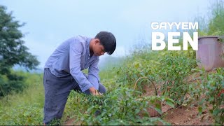 I picked red chilies from my garden to cook spicy food for the cold weather  Gayyem Ben [upl. by Huckaby]