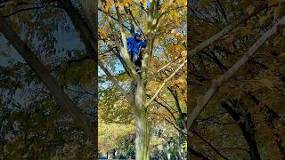 Das war echt hoch 😨 darfichhierhoch parkour holidayswithyoutube [upl. by Yeblehs]