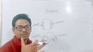 mitosisTelophase class 10 science chapter 2 life processes in living organismsTelophase [upl. by Ayyn]