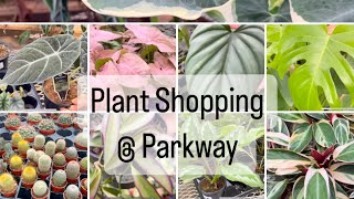 Plant Shopping  Parkway vlogmas [upl. by Zsazsa24]