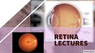 RETINA LECTURE 4 DIABETIC RETINOPATHY in detail with all important stuff [upl. by Lathan]