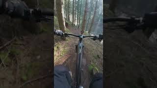 Enduro Trail im Nadelwald Orbea Wild [upl. by Biagi]