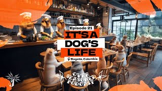 Over Seasoned Podcast Ep 21 It’s a Dog’s Life  Bogotá Colombia [upl. by Rihana]