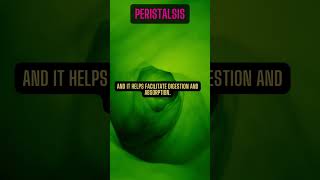 Tips No 87Unveiling the Incredible World of Peristalsis [upl. by Ajroj]