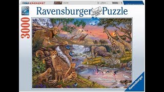 puzzelvideo 43 dierenrijk Ravensburger [upl. by Delora]