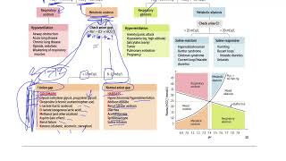 AcidBase Disturbances  ABG  Acidosis and Alkalosis  Introduction [upl. by Survance]