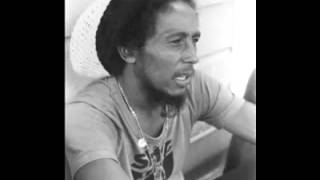 Bob Marley  Rastaman Live Up Dont Give Up Black Ark Mix [upl. by Lodmilla558]