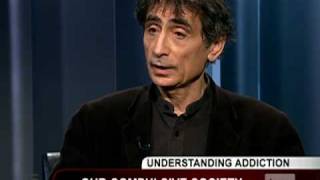 Dr Gabor Mate Addiction [upl. by Zigrang619]