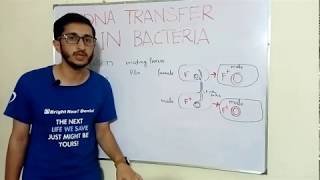 Bacterial Conjugation in Urdu Hindi [upl. by Nettirb896]