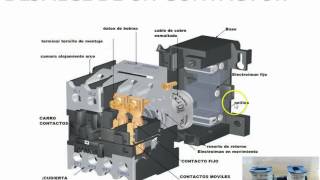 partes de un contactor [upl. by Remled257]