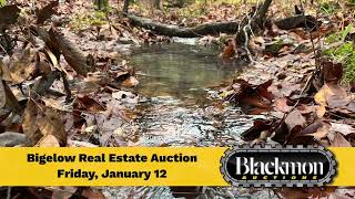 Bigelow Real Estate Auction [upl. by Ithnan]