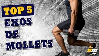 Top 5 des exercices de mollets  Muscler les mollets par All musculation [upl. by Schaaff]