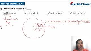 Ribosomes functions [upl. by Tien]