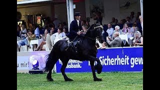 Wiesbadener PfingstTurnier 2017  Jagdschaubild im Damensattel [upl. by Donetta260]