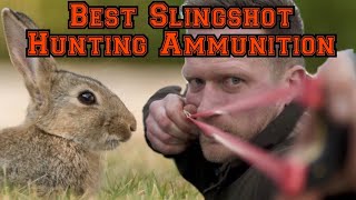 Catapult  Slingshot Ammo Choice for Hunting [upl. by Adla583]