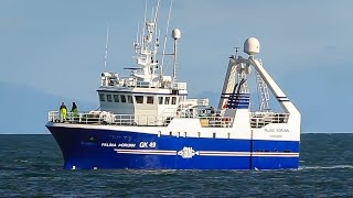 2449 Pálína Þórunn GK 49  Stern Trawler  Iceland [upl. by Reffinnej]