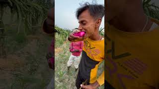 Inko Fruits Kaha se mel Gya minivlog aftabvlog shorts farming vlog aftabshaikh [upl. by Nodnab550]