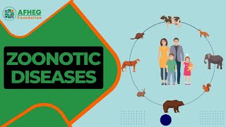 Zoonotic Diseases Series Causes and Prevention [upl. by Atinyl164]