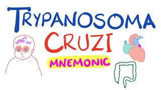 Trypanosoma Cruzi Mnemonic  Chagas Disease [upl. by Ynned972]