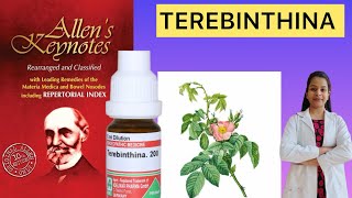 Terebinthenia homeopathic medicine Allen’s keynote materia medica in Hindi [upl. by Ybocaj]