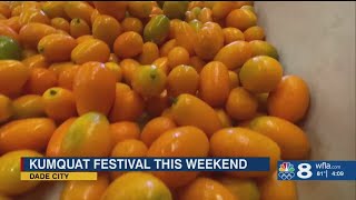 Annual Kumquat Festival to kick off in Dade City this weekend [upl. by Suoicserp]