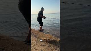 jig ile levrek avı denemeleri gelen zargana balığı fishing shortvideo fish shorts [upl. by Weston]