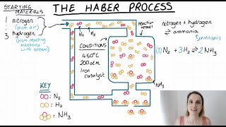 The Haber Process Summary Explanation making ammonia [upl. by Anehta82]