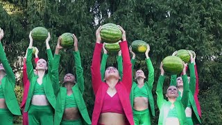 Tom Rosenthal  Watermelon Acoustic  Official Video [upl. by Ashlin]