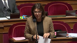 Budget de la Sécu  le Sénat renforce la lutte contre la fraude sociale [upl. by Nylemaj987]