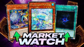 CARTE da RECUPERARE per MALISS • YUGIOH MARKET WATCH [upl. by Eiloj]