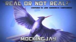 quotReal or Not Realquot Mockingjay original composition [upl. by De Witt556]