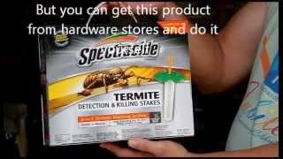 Termite Detection amp Killing Part 1 [upl. by Schear]