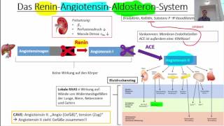 Hypertonie Vasodilatierende Pharmaka Herzinsuffizienz 2017 [upl. by Maggie921]