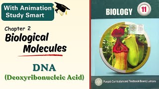 DNA Deoxyribonucleic acid  100 concept clear  Chapter 2  Class 111st year  Punjab biology [upl. by Pouncey]