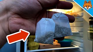 Put Tea Bags in the Fridge and WATCH WHAT HAPPENS 💥 unexpected [upl. by Etnor]